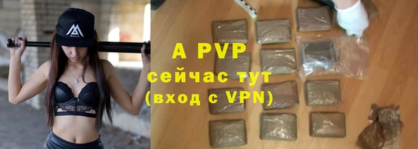 спайс Нея