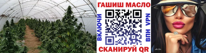 цена наркотик  Микунь  нарко площадка клад  ТГК вейп 